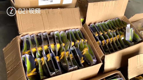 上海海关查获597件侵权宠物用品